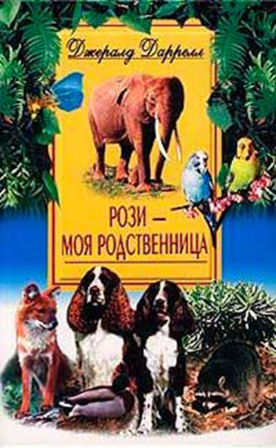 Рози - моя родственница — главное (витрина)
