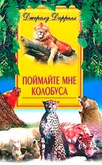 Поймайте мне колобуса — главное (витрина)