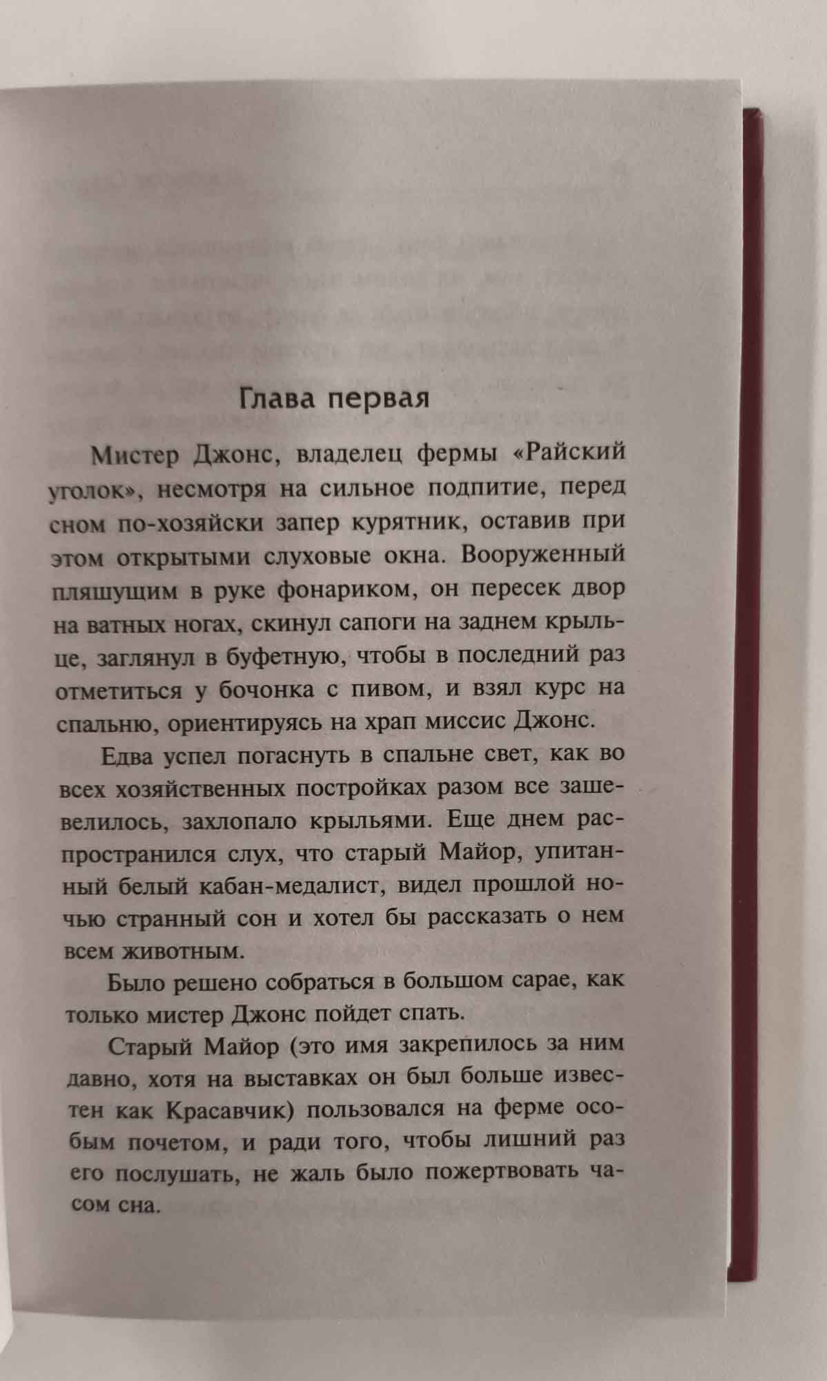 Страница