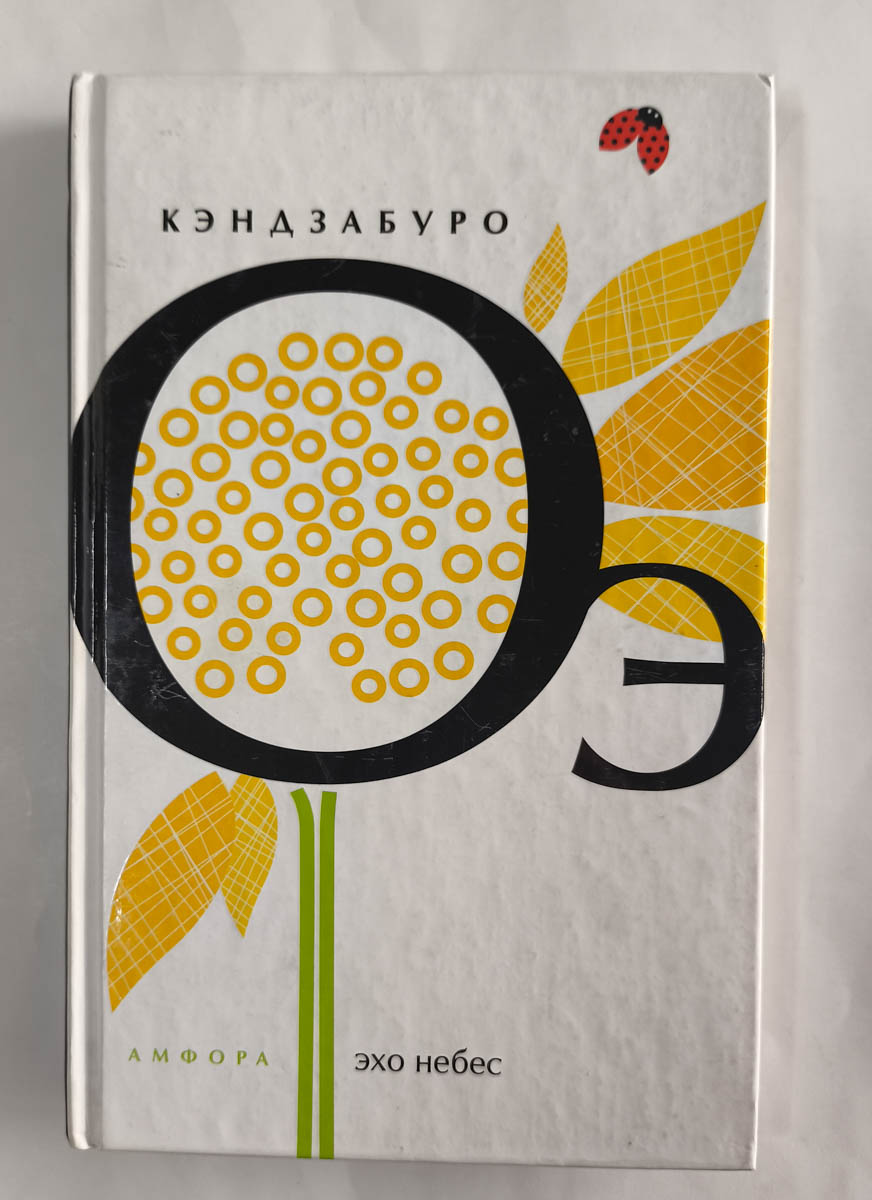 Эхо небес — передняя обложка