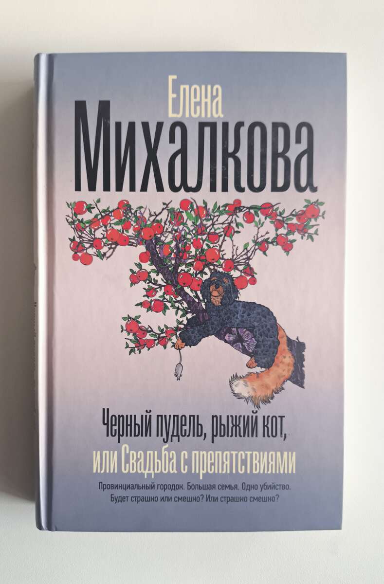 Черный пудель, рыжий кот, или Свадьба с препятствиями — передняя обложка